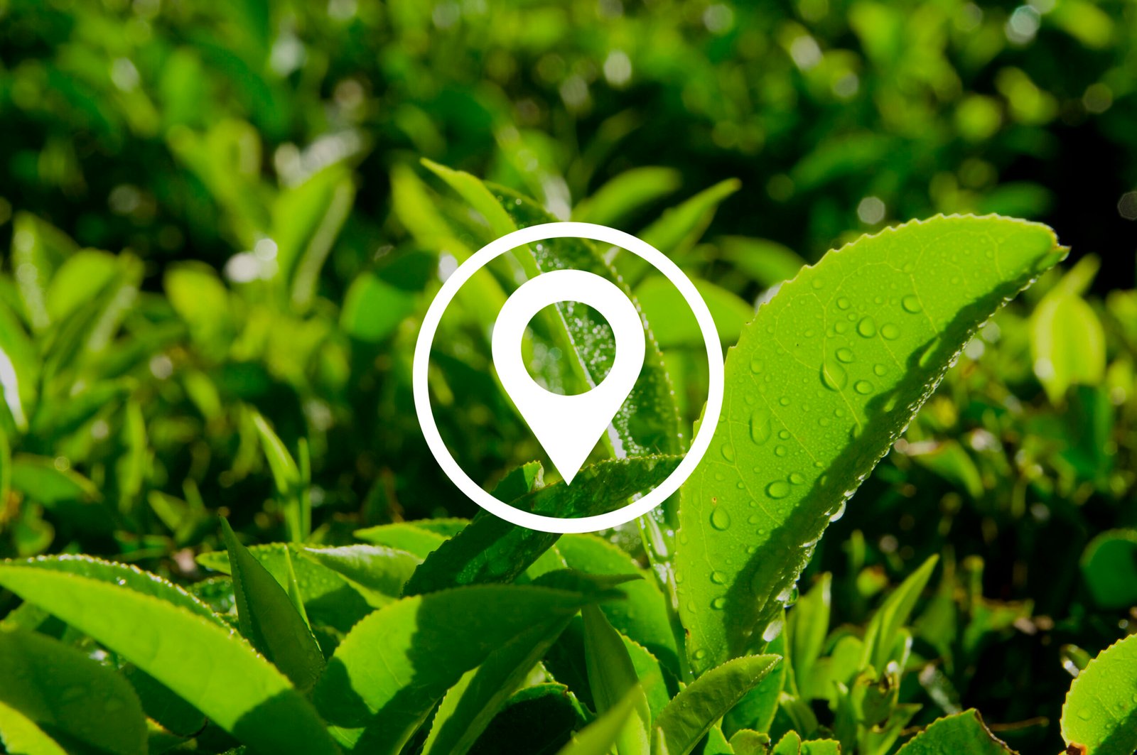 location navigation destination journey position concept